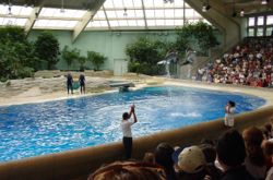 The Brookfield Zoo dolphinarium in Chicago 