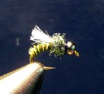 A fly I tied...:-P