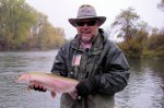 Feather Steelhead